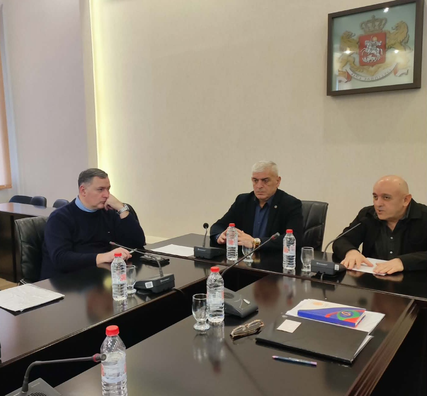 სამუშაო შეხვედრა იმერეთის რეგიონში